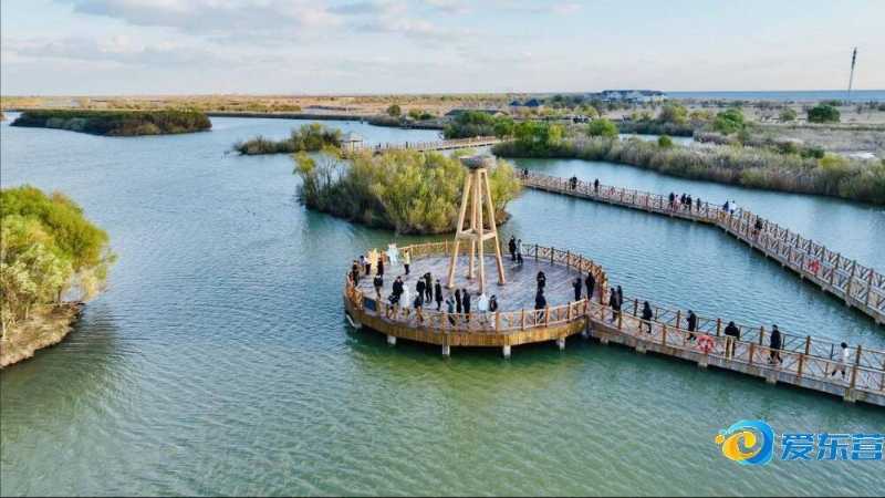 的塑造同样 的塑造同样